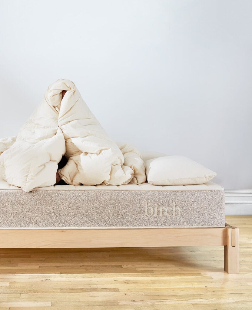 Birch organic mattress