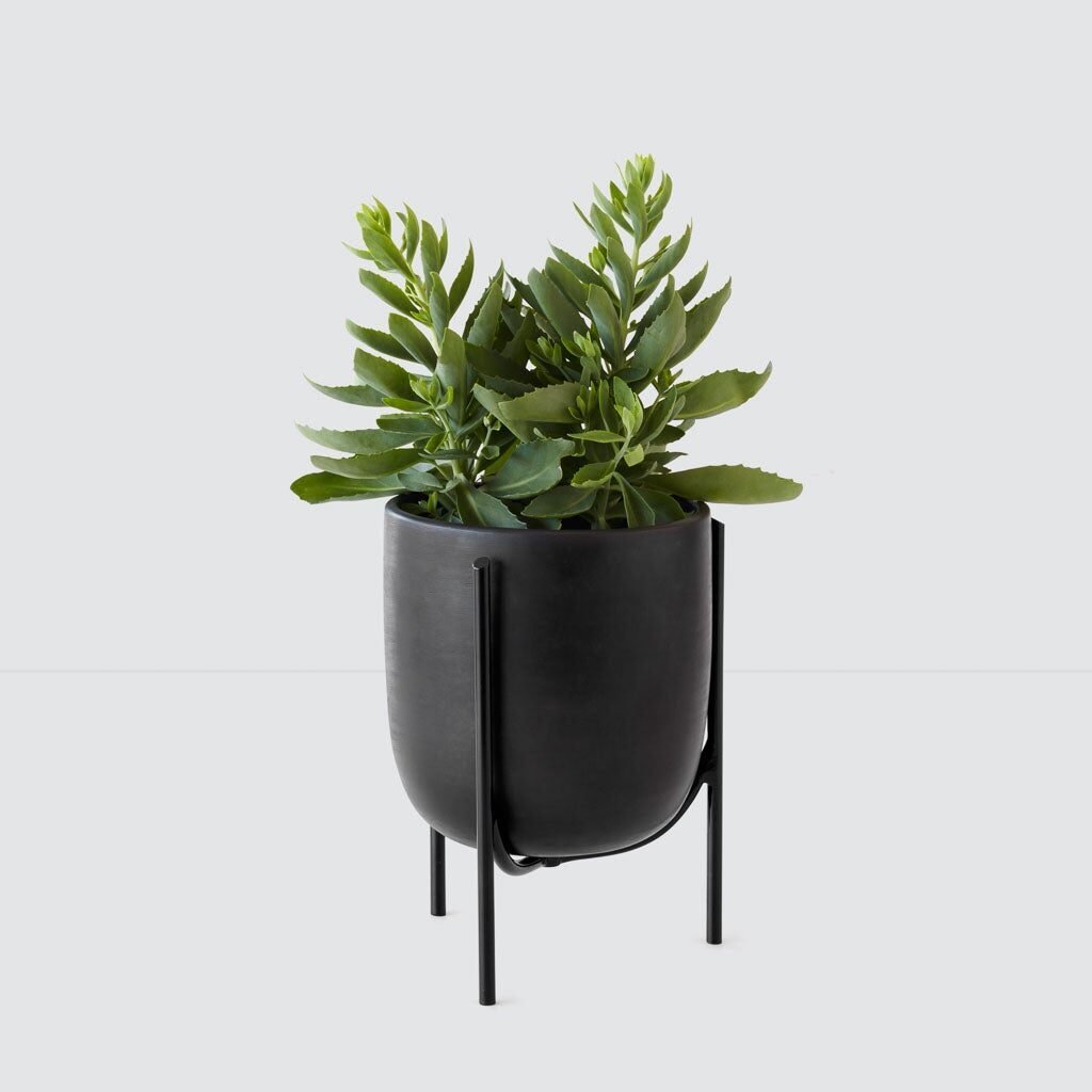 Cataro plastic free planter