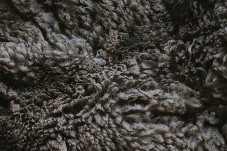 Is fleece sustainable?