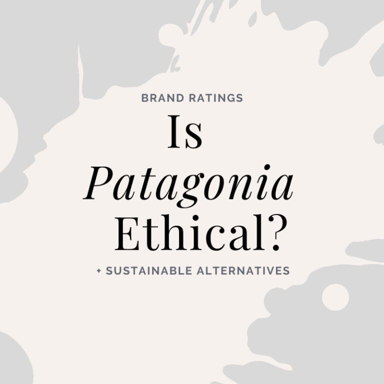 Is Patagonia Ethical?