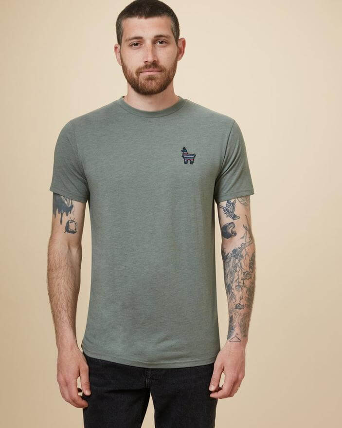 Tentree sustainable mens clothing t shirt with llama motif