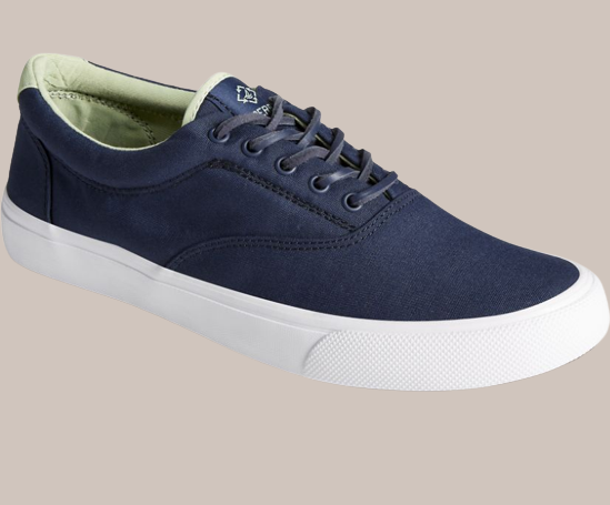 Sperry shoes that look like Vans authentic