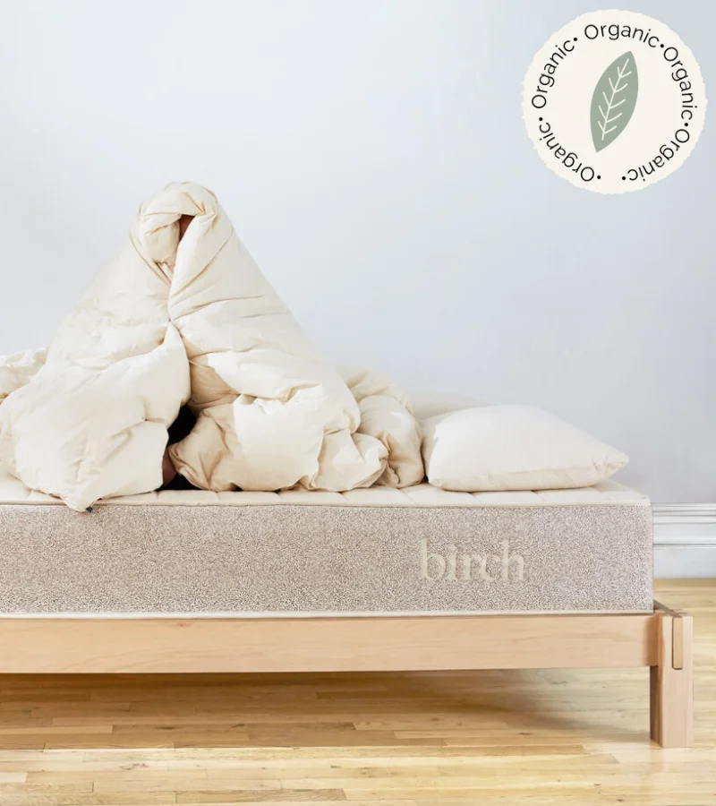 Birch organic comforter