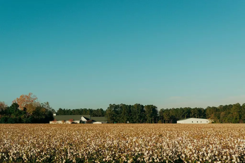 Regenerative organic agriculture cotton farming