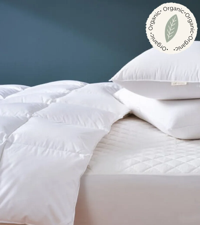 Coyuchi natural organic comforter