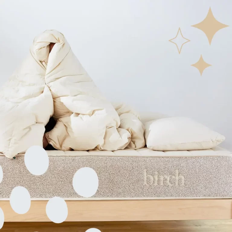 Organic Comforters featured image Birch